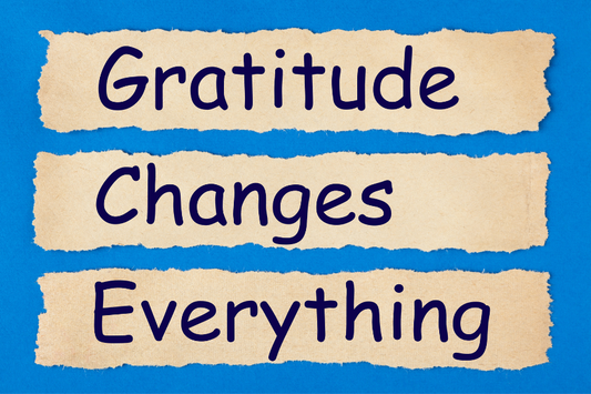 The Transformative Magic of Gratitude: A Journey of Abundance