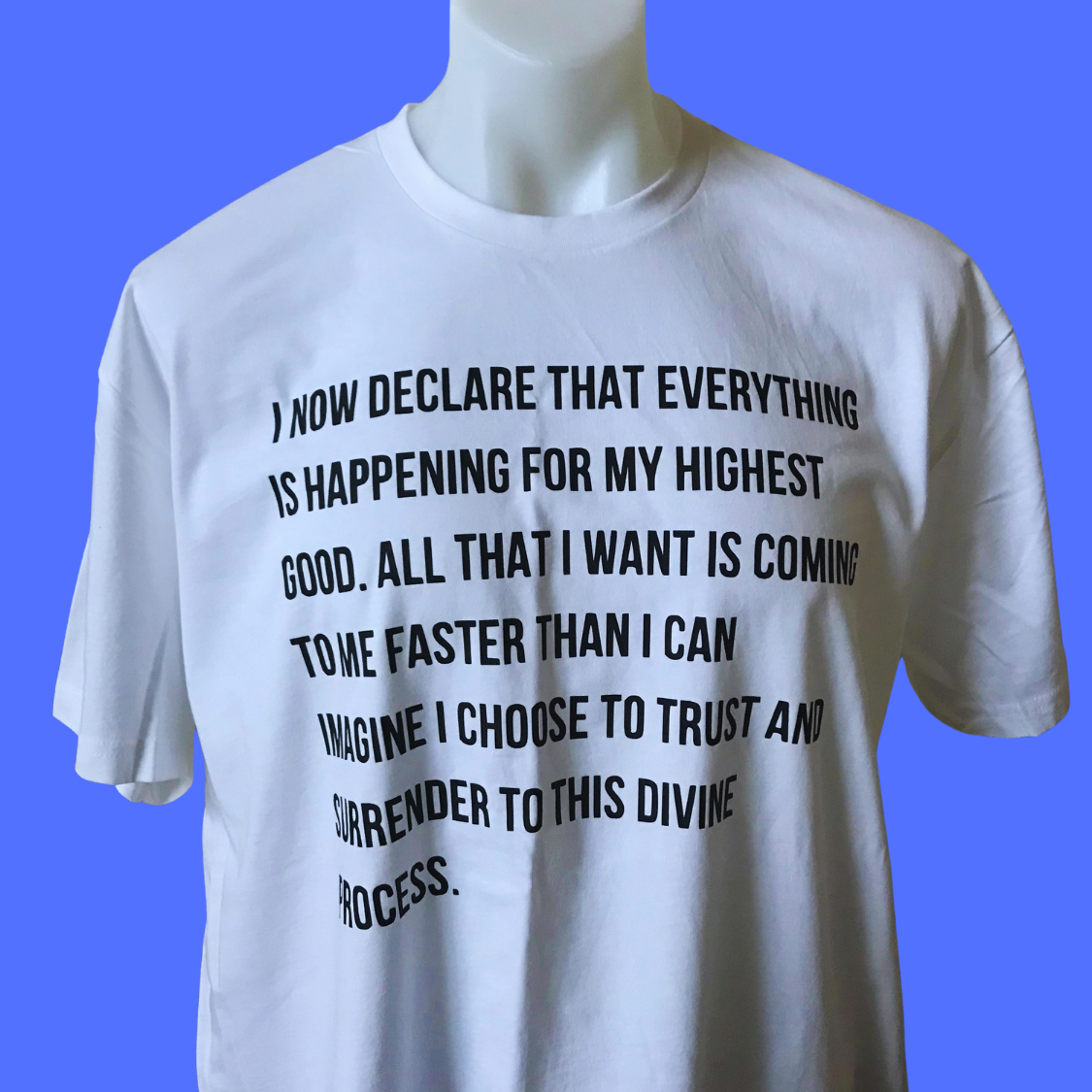 Manifest It! Tee